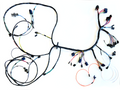 HD-HR Holden Premier Main Wiring Harness