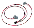 HD HR Holden Tail light Harness